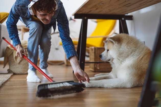 IMAGO Creative, Frühling, Frühjahrsputz Smiling man wearing wireless headphones and sweeping floor near dog at home model released, Symbolfoto property released, ALZF00220