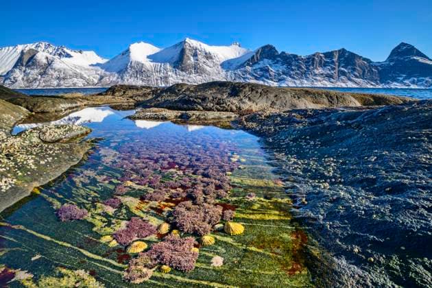 Creative Highlights World Sea corals in water near snowcapped mountains at Senja island, Troms, Norway, ANSF01021