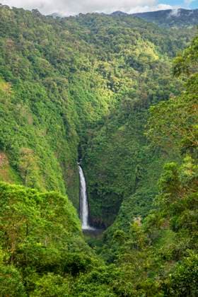 Creative Highlights World Wasserfall Catarata San Fernando im Nationalpark Volcan Poas, Costa Rica, Alajuela, Vulkan Poas Nationalpark, Chinchona Catarata San Fernando waterfall in the Volcan Poas National Park, Costa Rica, Alajuela, Poas Volcano National Park, Chinchona BLWS711312 *** Waterfall Catarata San Fernando at National Park Volcan Poas, Costa Rica, Alajuela, Volcano Poas National Park, Chinchona Catarata San Fernando Waterfall in The Volcan Poas National Park, Costa Rica, Alajuela, Poas Volcano National Park, Chinchona BLWS711312 Copyright: xblickwinkel M.xWoikex