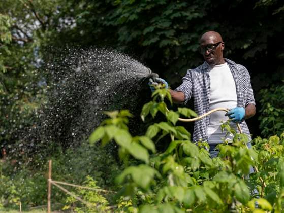 Smiling mature man watering plants in garden model released Copyright: xCulturaxCreativex