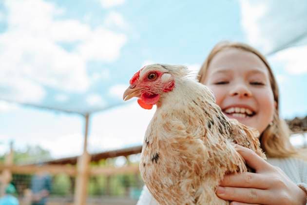 Creative Highlights Symbolbilder Happy girl with chicken in farm model released, Symbolfoto, MDOF02544