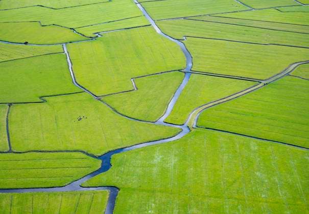 Creative Highlights World Strangely formed polders in green field, MKJF00325
