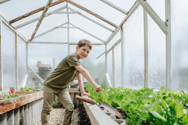 Creative Highlights Symbolbilder Smiling boy gardening in greenhouse model released, Symbolfoto, NLAF00515