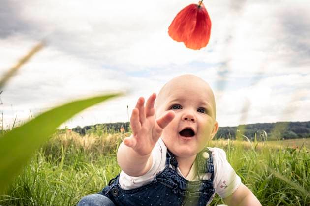 Creative Highlights Symbolbilder Cute baby girl reaching for flower in meadow model released, Symbolfoto, WFF00772