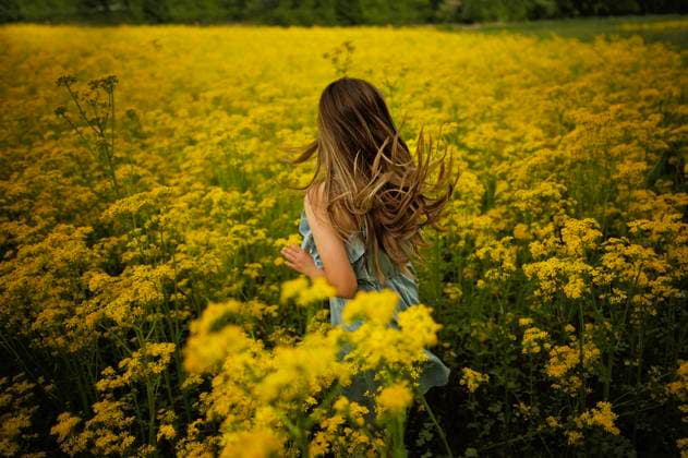 Creative Highlights Symbolbilder Little girl with hair blowing twirling in yellow flower field Wooster, Ohio, United States CR_JOKU240618-1458723-01 ,model released, Symbolfoto