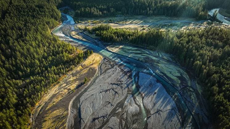 Creative Highlights World Cowlitz River In Washington PNW United States, Washington, Packwood CR_RISE240618-1460088-01