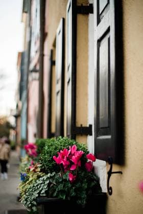 IMAGO Creative, Lifestyle, Frühling in der Stadt Colorful Facades of Rainbow Row in Full Spring Bloom Charleston, South Carolina, United States R_WMWQ24061804-1459958-01 EDITORIAL USE ONLY