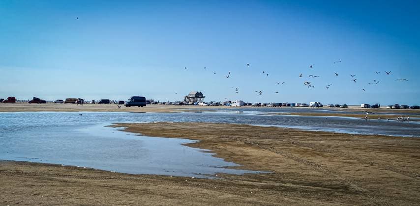 St. Peter Ording 26.06.24: Autos am Strand und Möven im Hintergrund St. Peter Ording Strand Schleswig Holstein Deutschland *** St Peter Ording 26 06 24 Cars on the beach and seagulls in the background St Peter Ording beach Schleswig Holstein Germany IMG_2712