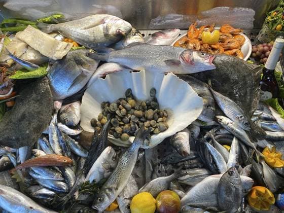 Display in a fish restaurant, fresh fish, fresh fish, fish of the day, mussels, prawns, sea bream, sea bass, sole, sardines, food, Algarve, Portugal, Europe *** Display in a Fish restaurant, Fresh fish, Fresh fish, Fish of The day, mussels, prawns, Sea bream, Sea bass, sole, sardines, food, Algarve, Portugal, Europe Copyright: imageBROKER MichaelxWeber iblimw10887570.jpg