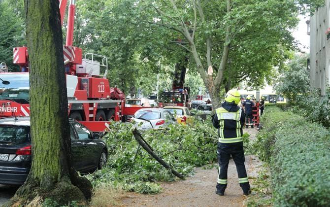 News Themen der Woche KW26 Unwetterschaden Talstraße Ecke Herthastraße in Pankow, großer Ast einer Platane bricht ab während des Starkregens Unwetter am Nachmittag, es gab keine PKW oder Personenschaden, Feuerwehr beseitgen Äste 27.06.2024 copyright: contrast O.Behrendt contrast photoagentur B *** Storm damage Talstraße corner Herthastraße in Pankow, large branch of a plane tree breaks off during the heavy rain storm in the afternoon, there was no car or personal injury, fire department remove branches 27 06 2024 copyright contrast O Behrendt contrast photoagentur