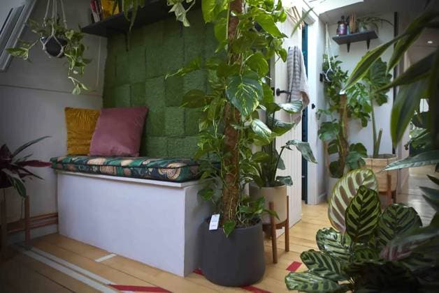 Love plants? Stay in London’s first live-in terrarium boat this summer Story from Jam Press (Terrarium Boat) Pictured: Inside The Floating Terrarium. Love plants? Stay in London’s first live-in terrarium boat this summer Are you a plant lover? A water babe? Well, now you can take both to the next level with a stay on a ‘terrarium boat . Moored on a canal in Hackney, London, this life-size ecosystem is made for those who want to get close to nature. The 48.3 sq m boat is decked out with 150 verdant houseplants - making it a perfect live-in oasis. Terrariums are more commonly known to be small, sometimes big, glass enclosures filled with plants, stones and mosses. But this one is a floating, green sanctuary. The two-guest proper  Copyright: xJamxPress @thefloatingterrarium