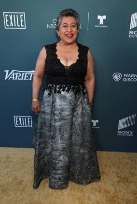 NALIP s 25th Anniversary Red Carpet Celebration At The NeueHouse Hollywood Featuring: Laura Patalano Where: Hollywood, California, United States When: 28 Jun 2024 Credit: Faye s Vision Cover Images EDITORIAL USE ONLY. NOT FOR USE BY NEWSPAPERS BASED IN THE UK. Copyright: xx coverimg53892690