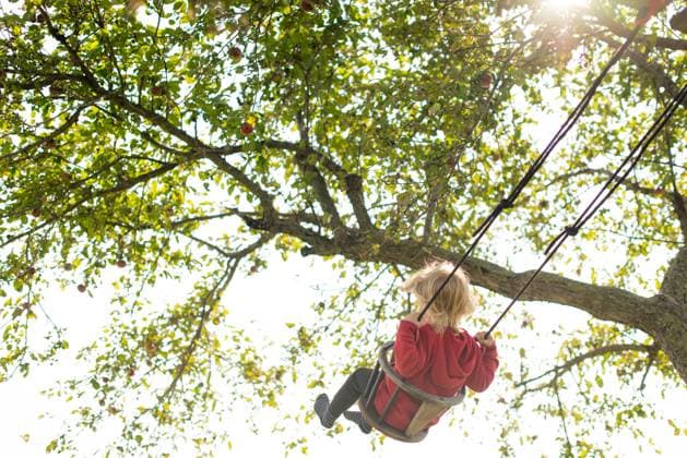 IMAGO Creative, Sommer, Sommertage im Garten Child swinging under a tree with sunlight filtering through the leaves Wingham, Ontario, Canada CR_ATBL240617-1455679-01 ,model released, Symbolfoto