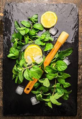 ingredients for lemonade or long drink, mint leaves,lemon, ice cubes on wet black background, top view ,model released, Symbolfoto