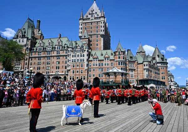 July 1, 2024, Quebec, Pq, Canada: Batisse the goat, the mascot of the Vandoos, stands as the music of the Royal 22nd Regiment plays during Canada Day celebrations on the Dufferin Terrasse in front of the Chateau Frontenac, Monday, July 1, 2024 in Quebec City. Quebec Canada  - ZUMAc35_ 20240701_zaf_c35_153 Copyright: xJacquesxBoissinotx