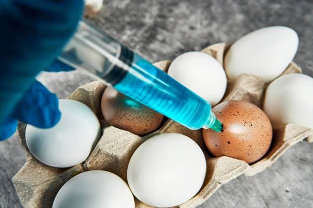 Germany - 02 July 2024: medical blue glove holding a syringe and injecting eggs, indicating the research and development of vaccines against the H5N1 virus. It highlights the importance of vaccination and preventive measures to control avian influenza and protect animal health and humans and the population worldwide. PHOTOMONTAGE *** medizinischer blauer Handschuh, welcher eine Spritze hält und Eier injiziert, was auf die Forschung und Entwicklung von Impfstoffen gegen das H5N1-Virus hinweist. Es verdeutlicht die Wichtigkeit von Impfungen und präventiven Maßnahmen zur Kontrolle der Vogelgrippe und zum Schutz der Tiergesundheit und des Menschen, bzw. der Bevölkerung weltweit. FOTOMONTAGE