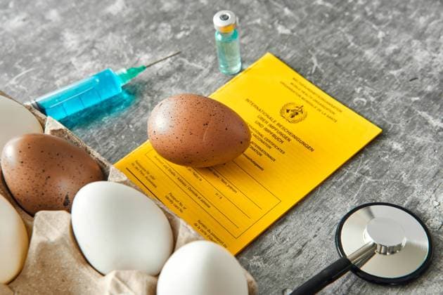 Augsburg, Bavaria, Germany - July 2, 2024: Symbolic image of mRNA vaccination against the avian influenza H5N1 virus (influenza type A). Syringe, vaccination certificate and eggs from chickens *** Symbolbild mRNA Impfung gegen das Vogelgrippe H5N1 Virus (Influenza Typ A). Spritze, Impfpass und Eier von Hühnern
