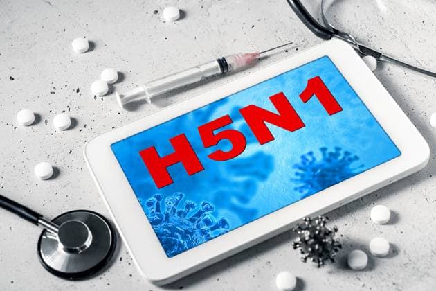 Germany - July 02, 2024: Viruses or tablet with screen inscription: H5N1. Warning about bird flu and the infectious virus for humans too. Concept tablets (medication), injections (vaccination), stethoscope (diagnosis), medical precautions and care for infected animals and people. PHOTOMONTAGE *** Viren bzw. Tablet mit Bildschirm-Aufschrift: H5N1. Warnung vor der Vogelgrippe und dem ansteckendem Virus auch für Menschen. Konzept Tabletten (Medikamente), Spritzen (Impfung), Stethoskop (Diagnose), medizinische Vorsorge und Betreuung von infizierten Tieren und Personen. FOTOMONTAGE
