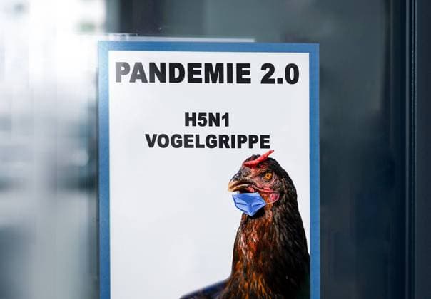 Germany - July 02, 2024: Sign on a shop window with bird flu or H5N1. Bird with mask symbolizes new pandemic 2.0 after Corona, or Covid-19, by influenza? PHOTOMONTAGE *** Schild an einem Schaufenster mit Hinweis Vogelgrippe bzw. H5N1. Vogel mit Maske symbolisiert neue Pandemie 2.0 nach Corona, bzw. Covid-19, durch Influenza? FOTOMONTAGE