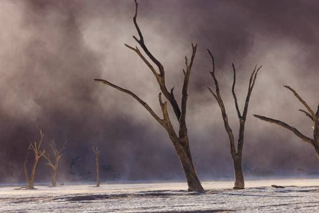 Creative Highlights World abgestorbene alte Bäume im Deadvlei abgestorbene alte Bäume im Deadvlei Dead Vlei Namibia *** dead old trees in Deadvlei dead old trees in Deadvlei Dead Vlei Namibia Copyright: xBSxPressefoto B.Hoffmannx