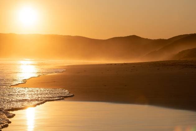 Creative Highlights World Golden hour over tranquil beach with gentle waves and misty horizon Melbourne, Victoria, Australia R_FABX240709-1475863-01