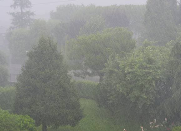 Bergamo: Summer 2024 with very strong thunderstorms characterized by gusts of wind and hailstorms that cause extensive damage in the area Bergamo  - ZUMAp169 20240713_zea_p169_022 Copyright: xLucaxPontix