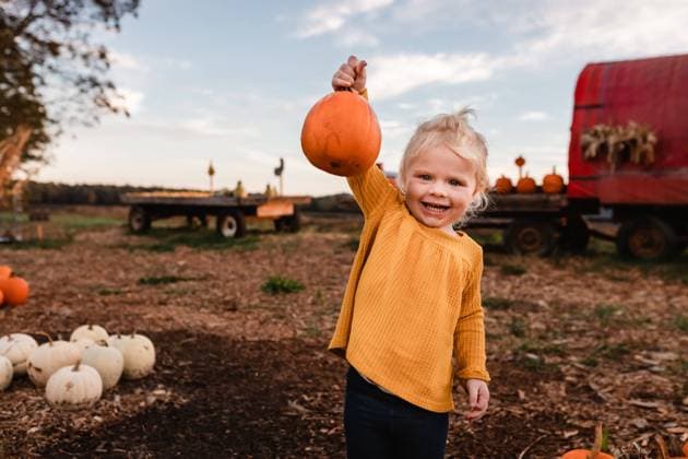 Creative Highlights Symbolbilder Joyful young child proudly holding chosen pumpkin Wolf Lake, Illinois, United States CR_WEKW240714-1483948-01 ,model released, Symbolfoto