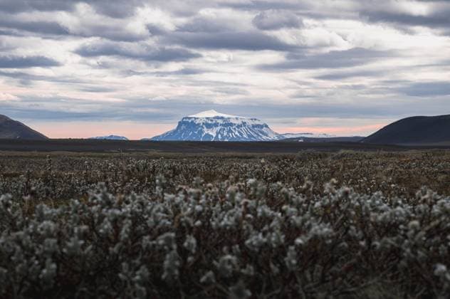 Creative Highlights World view of the famous Herdubrade volcano in Iceland Reykjahlíð, Þingeyjarsveit, Iceland CR_PJJZ240716A2-1477938-01