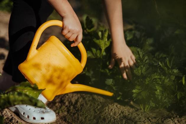 IMAGO Creative, Sommer, Sommertage im Garten A yellow watering can in a child s hand watering greens in the garden Novosibirsk, Novosibirsk Oblast, Russia R_IRIR240718-1490196-01 ,model released, Symbolfoto