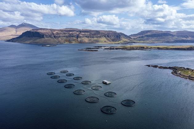 Floating cages of a salmon farm, sea between Isle of Ulva and Isle of Mull, Mt. Ben More (Mull) in the back, Aerial view, Scotland, UK *** Floating Cages of a Salmon farm, Sea between Isle of Ulva and Isle of Gauze, Mt Ben More Mull in The back, Aerial view, Scotland, UK Copyright: imageBROKER AndreasxWerth iblawe10948313.jpg