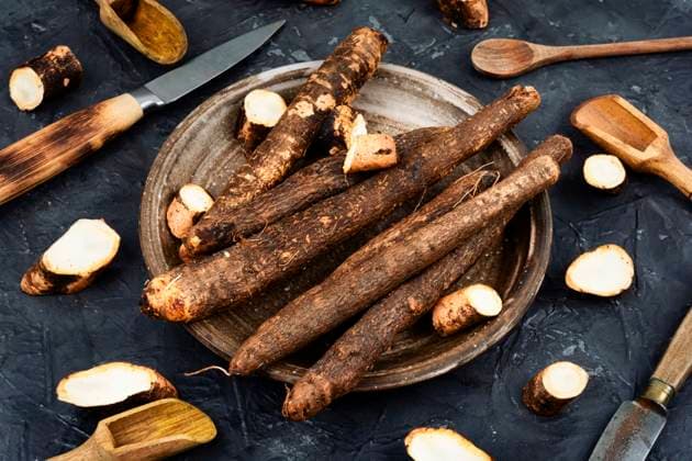 Salsify, unpeeled root, medicine, homeopathic herbs. Preparing salsify root ,model released, Symbolfoto