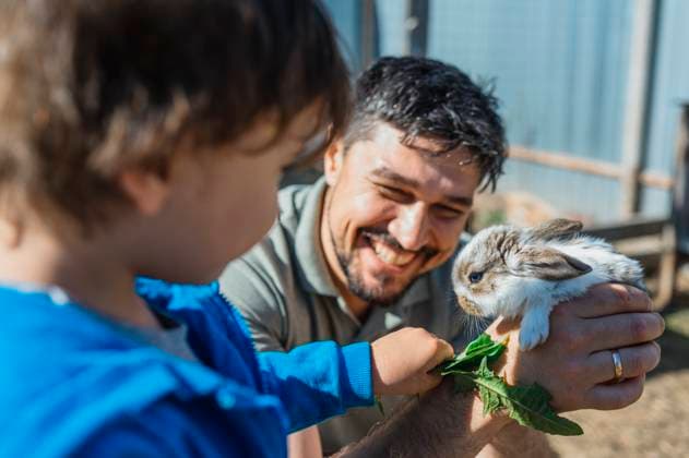 Happy father holding baby rabbit and son feeding leaf in farm model released, Symbolfoto property released, ANAF02993