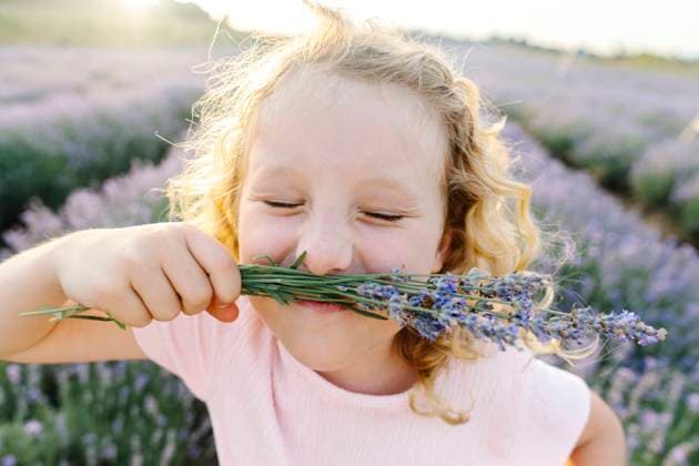 Creative Highlights Symbolfotos Blond hair girl holding and smelling lavender flower at field model released, Symbolfoto, SIF01128