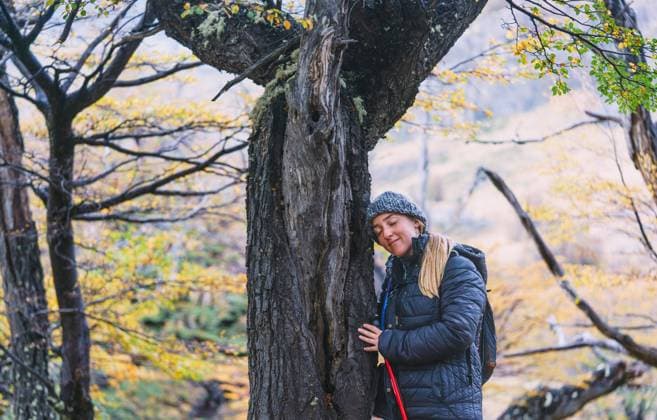 A woman is hugging a tree trunk in a forest El Chaltén, Santa Cruz Province, Argentina R_YBTM240722-1494029-01 ,model released, Symbolfoto