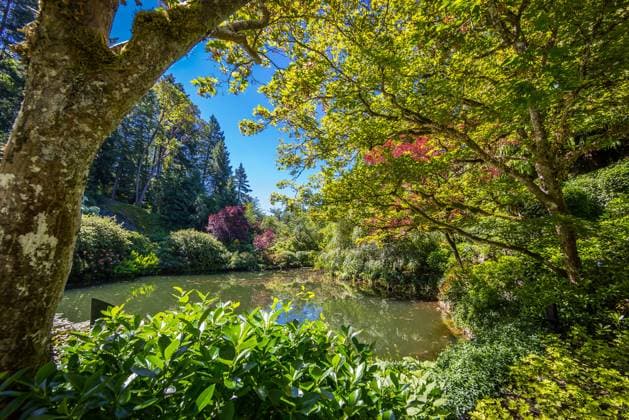 Butchart Gardens at Victoria, Vancouver Island, Canada in summer. View of a hidden pond with flowers and trees of the historic garden. ,model released, Symbolfoto