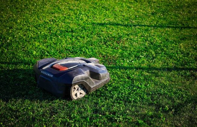 29.07.2024, Schalchen, AUT, Unterwegs in Oberösterreich, Symbolbild, Themenbild, Verschiedene Themenbilder, Rasenmäher, im Bild Mähroboter auf einem Rasen, Mähroboter, Schalchen, *** 29 07 2024, Schalchen, AUT, On the road in Upper Austria, Symbolic picture, Theme picture, Various theme pictures, Lawn mower, in the picture mowing robot on a lawn, Mowing robot, Schalchen,