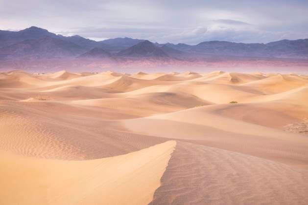 Mesquite Sand Dunes at Sunset in Death Valley National Park Cali Death Valley Junction, California, United States CR_SHKO240724-1496066-01