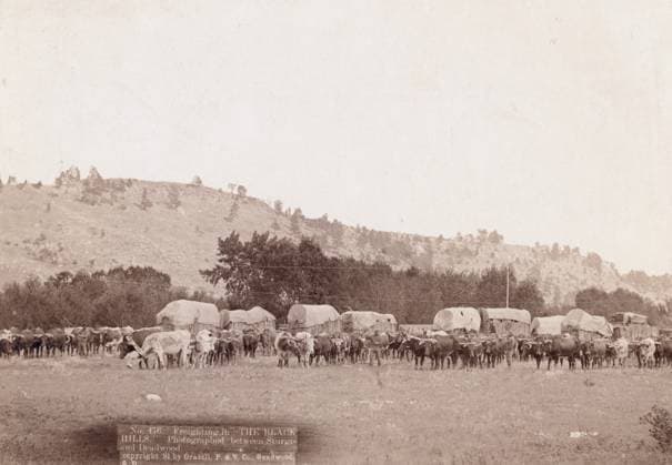 RECORD DATE NOT STATED Freighting in The Black Hills Photographed between Sturgis and Deadwood, 1891. Full view of ox trains, between Sturgis and Deadwood, S.D. Copyright:xHeritagexArt HeritagexImagesxJohnxC.xH.xGrabillx IMAGO, ! ACHTUNG: AUFNAHMEDATUM GESCHÄTZT!  Copyright:HeritagexArt HeritagexImagesxJohnxC.xH.xGrabillx IMAGO