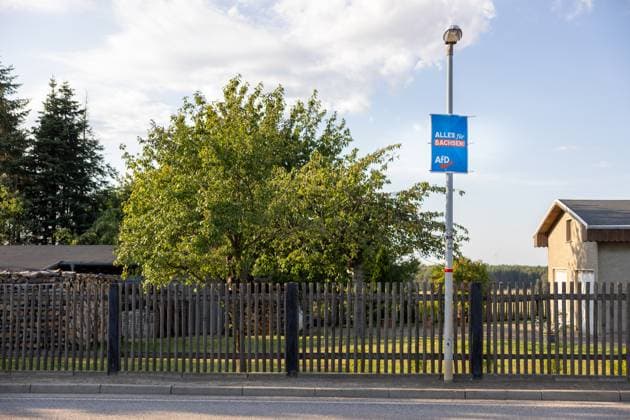 Wahlplakat der Partei AfD zur Landtagswahl 2024 in Sachsen mit der Losung - Alles fuer Sachsen. 30.07.2024, Ballendorf, GER - Wahlplakat der Partei AfD., Ballendorf Sachsen Deutschland Landtagswahl 2024 Sachsen *** Election poster of the party AfD for the state election 2024 in Saxony with the slogan Alles fuer Sachsen 30 07 2024, Ballendorf, GER Election poster of the party AfD , Ballendorf Saxony Germany state election 2024 Saxony