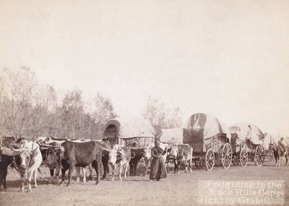 RECORD DATE NOT STATED Freighting in the Black Hills, between 1887 and 1892. Woman holding a whip, standing in front of an ox train. Copyright:xHeritagexArt HeritagexImagesxJohnxC.xH.xGrabillx IMAGO, ! ACHTUNG: AUFNAHMEDATUM GESCHÄTZT!  Copyright:HeritagexArt HeritagexImagesxJohnxC.xH.xGrabillx IMAGO