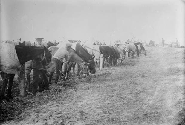 RECORD DATE NOT STATED British at Etaples, Feb. 1915 (date created or published later). British soldiers and horses at E?taples, France during World War I. Copyright:xHeritagexArt HeritagexImagesxBainxNewsxServicex IMAGO, ! ACHTUNG: AUFNAHMEDATUM GESCHÄTZT!  Copyright:HeritagexArt HeritagexImagesxBainxNewsxServicex IMAGO