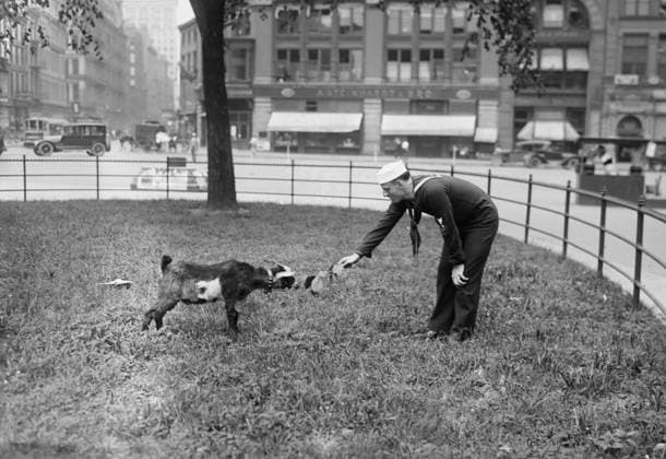 RECORD DATE NOT STATED W.J. Reilly, 1917 or 1918. William J. Reilly, sergeant in the Navy and vaudeville performer, who recorded patriotic songs as Sailor Reilly. He is with a goat on the grounds USS Recruit, a wooden mockup of a battleship built in Union Square, New York City by the Navy to recruit seamen and sell Liberty Bonds during World War I. Copyright:xHeritagexArt HeritagexImagesxBainxNewsxServicex IMAGO, ! ACHTUNG: AUFNAHMEDATUM GESCHÄTZT!  Copyright:HeritagexArt HeritagexImagesxBainxNewsxServicex IMAGO