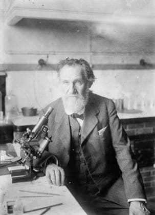 RECORD DATE NOT STATED Elie Metchnikoff, between c1910 and c1915. Copyright:xHeritagexArt HeritagexImagesxBainxNewsxServicex IMAGO, ! ACHTUNG: AUFNAHMEDATUM GESCHÄTZT!  Copyright:HeritagexArt HeritagexImagesxBainxNewsxServicex IMAGO