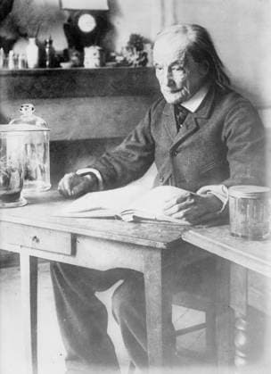 RECORD DATE NOT STATED Jean Henri Fabre, between c1910 and c1915. Copyright:xHeritagexArt HeritagexImagesxBainxNewsxServicex IMAGO, ! ACHTUNG: AUFNAHMEDATUM GESCHÄTZT!  Copyright:HeritagexArt HeritagexImagesxBainxNewsxServicex IMAGO