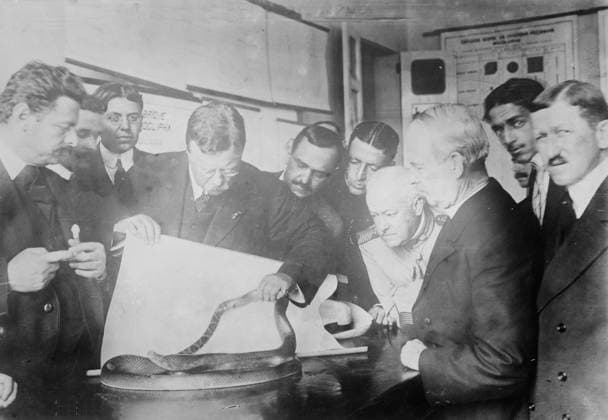 RECORD DATE NOT STATED Roosevelt watching snake fight, Sao Paolo, between c1910 and c1915. Copyright:xHeritagexArt HeritagexImagesxBainxNewsxServicex IMAGO, ! ACHTUNG: AUFNAHMEDATUM GESCHÄTZT!  Copyright:HeritagexArt HeritagexImagesxBainxNewsxServicex IMAGO