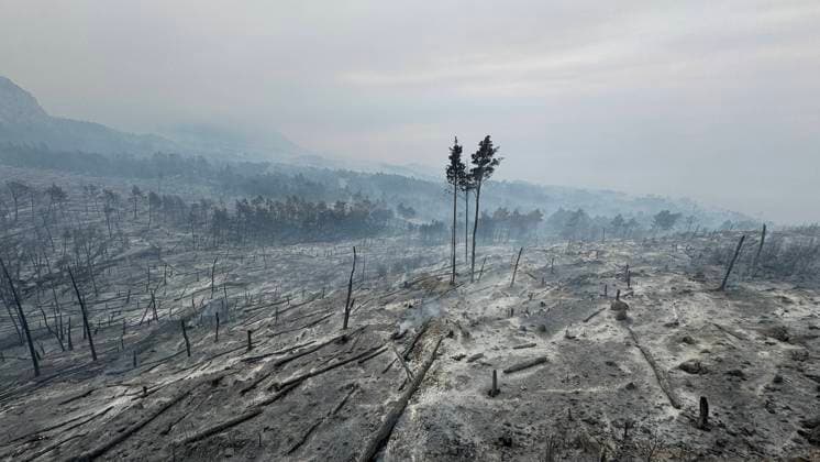 Bilder des Jahres 2024, News 08 August News Themen der Woche KW31 News Bilder des Tages The burned area of the Biokovo Nature Park Since Tuesday, firefighters are trying to put out fires in first in Tucepi and now in Podgora on August 01, 2024 in Podgora, Croatia. After some of the fire was put out, this morning everyone could see the horrible scenery of the Biokovo Nature Park after it burned.  IvoxCagalj PIXSELL
