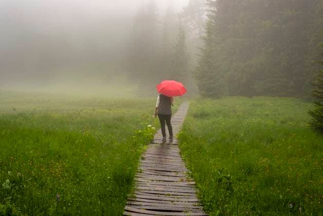 Frau 60+ mit Regenschirm im Hühnermoos an einem wolkenverhangenem Tag mit Nebel, ein Hochmoor am Söllereck bei Oberstdorf, Allgäuer Alpen, Allgäu, Bayern, Deutschland, Europa *** Woman 60 with Umbrella at Chicken moss to a wolkenverhangenem Day with Fog, a raised bog on Söllereck at Oberstdorf, Allgäuer Alps, Allgäu, Bavaria, Germany, Europe 1031609018 ,model released, Symbolfoto