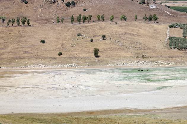 Bilder des Jahres 2024, News 08 August News Themen der Woche KW31 News Bilder des Tages Partinico (PA) - DROUGHT IN SICILY LAKE POMA IS DISAPPEARING in the photo Lake Poma which, given the severe drought that has hit Sicily, is about to disappear because it doesn t rain and the water in the reservoir is sent to the city of Palermo 1000 liters per second Editorial Usage Only  Copyright: xAlbertoxLoxBiancox xIPAx Agenzia_Fotogramma_FGR4141983