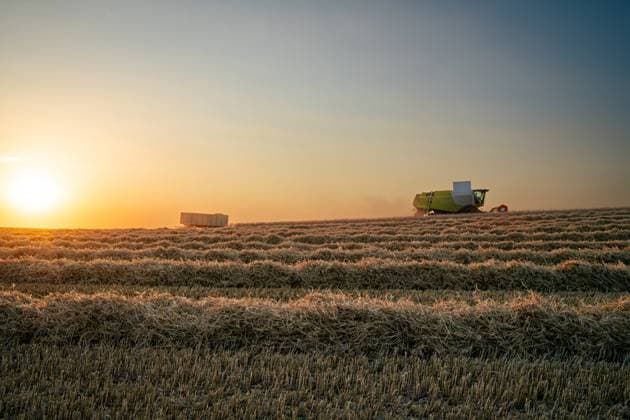 News Bilder des Tages Getreideernte - Mähdrescher auf dem Getreidefeld im Gegenlicht der untergehenden Sonne. Bei gutem Wetter sind die Mähdrescher oftmals bis in die Dunkelheit auf dem Feld im Einsatz. Solange die Getreidefeuchtigkeit im niedrigen Bereich verweilt, wird jede Minute genutzt, um die Ernte einzufahren. Was nach Idylle und Romantik aussieht - ist in der Realität harte und zeitweise auch staubige Arbeit - die in der Erntesaison dann auch nicht selten über 15 bis 16 Stunden am Stück verrichtet wird. Region Weser-Ems Niedersachsen Deutschland *** Grain harvesting Combine harvesters in the grain field against the light of the setting sun In good weather, the combine harvesters are often out in the field until dark As long as the grain moisture r