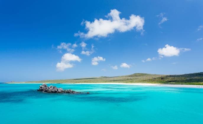 Gardner Bay, Espanola Island, Galapagos, UNESCO World Heritage Site, Ecuador, South America Copyright: BarryxDavis 1358-444
